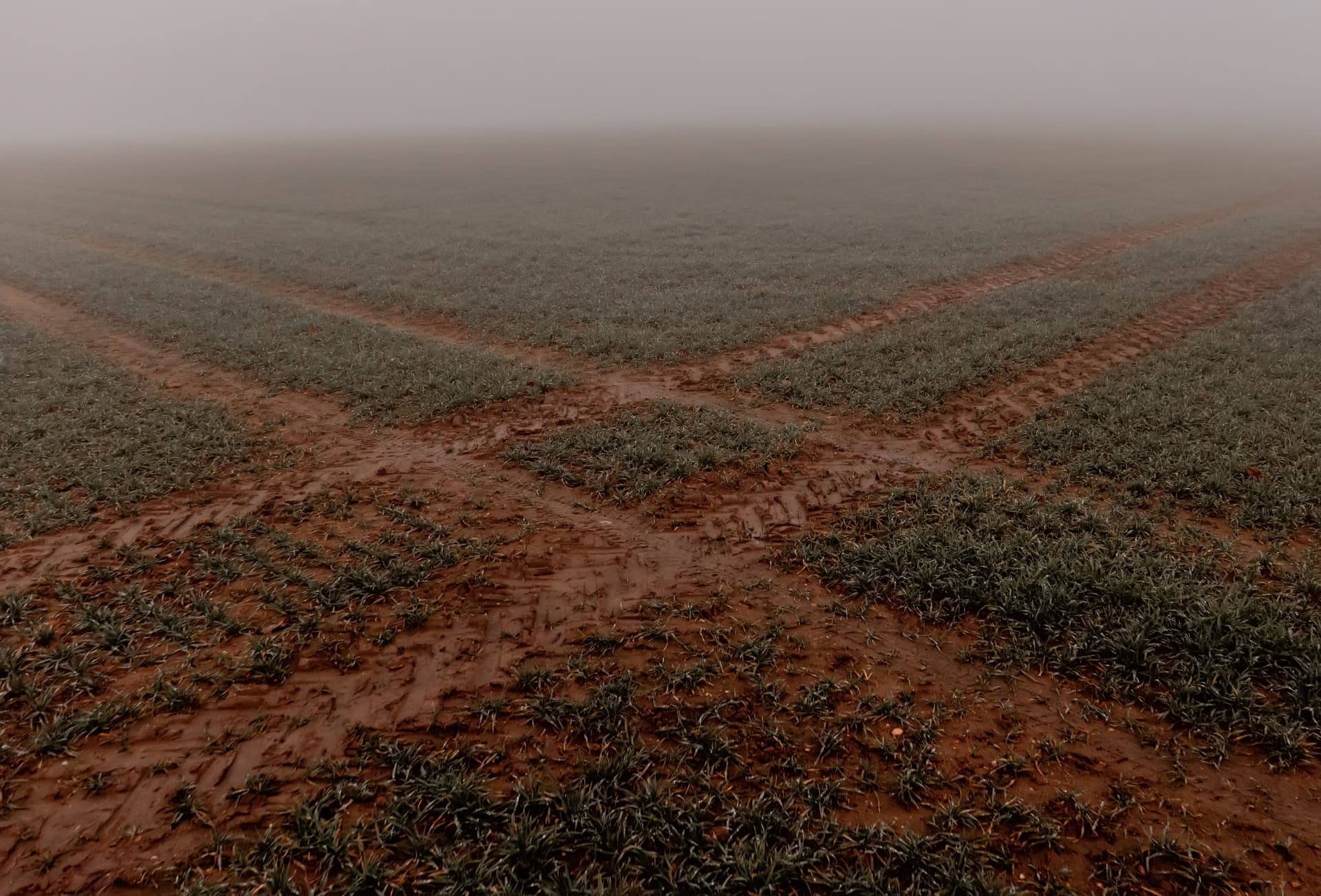 Veld in de mist met tractorsporen